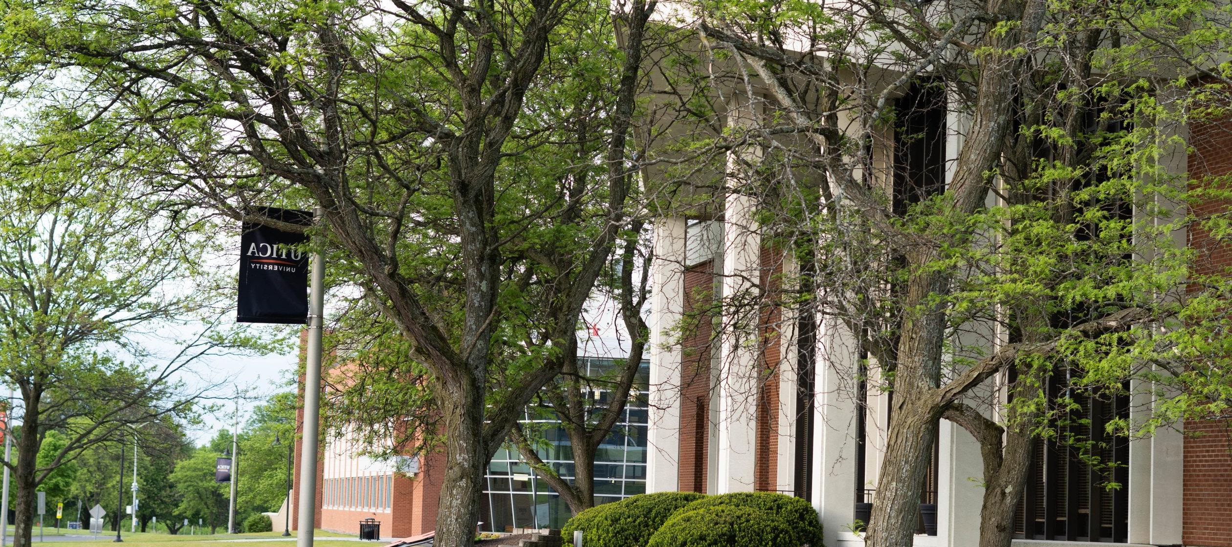 Two trees, full of green leaves, and a Utica Univesity banner stand in front of the Gannett Library on a warm day with the Science Center in the background.